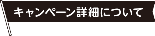 キャンペーン詳細について