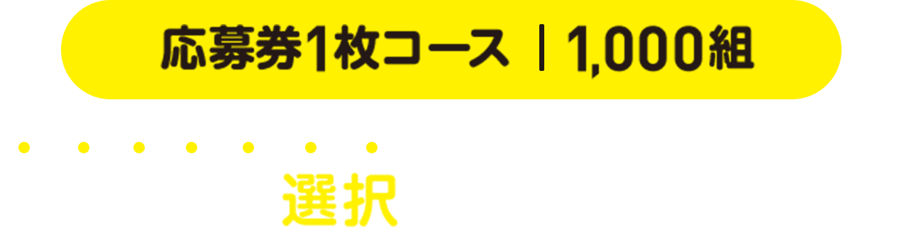 応募券1枚コース | 1,000組 どちらかを選択してお進みください