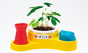 エデュトイ「きみだけの おじぎそう」