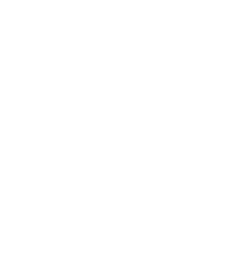 DIP