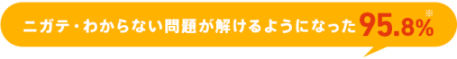 ニガテ・わからない問題が解けるようになった 95.8%*