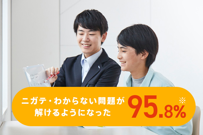 ニガテ・わからない問題が解けるようになった 95.8%*