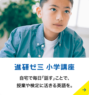 進研ゼミ 小学講座